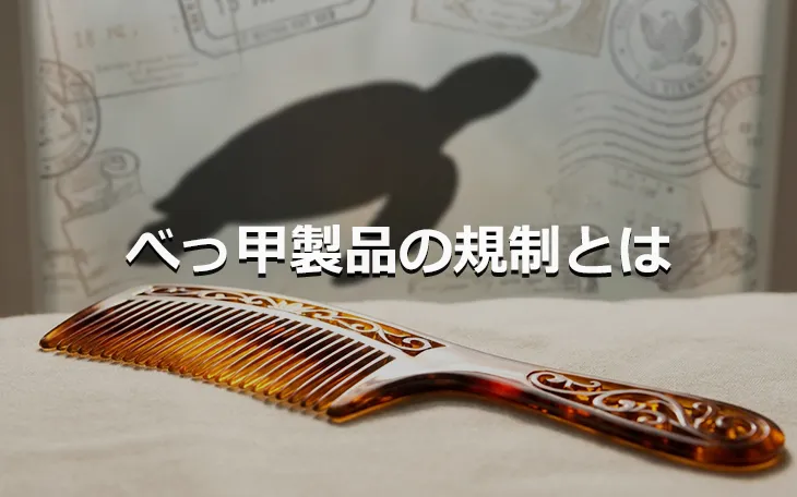 べっ甲製品の規制とは