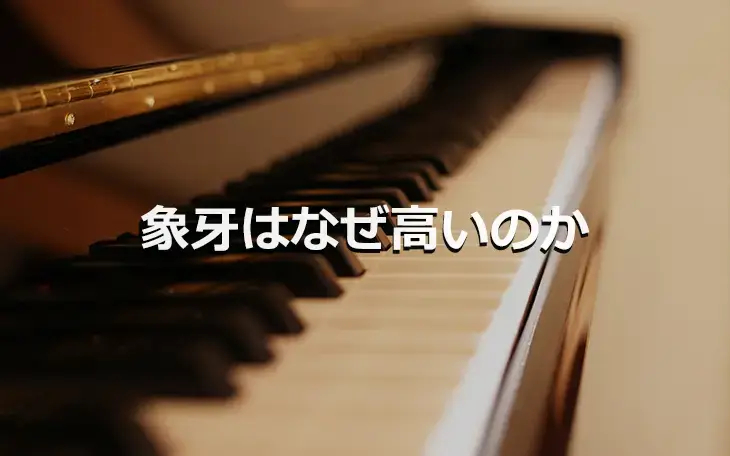 象牙はなぜ高いのか