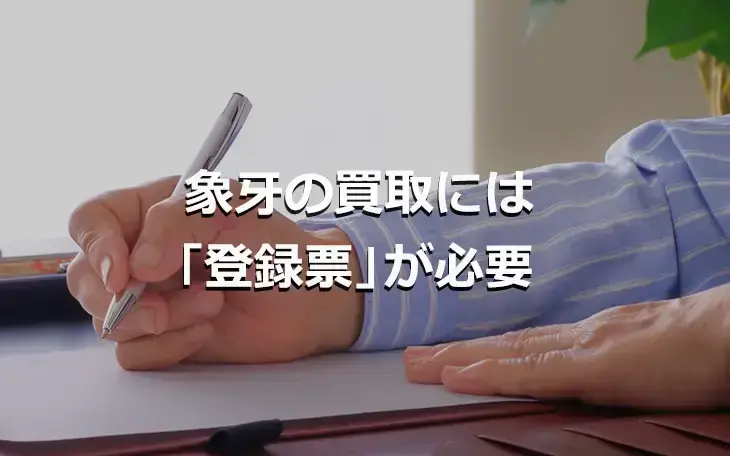 象牙の買取には「登録票」が必要