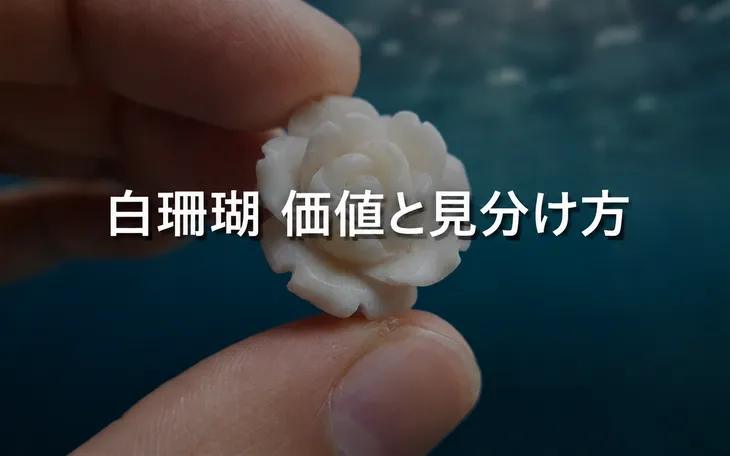 白珊瑚 価値と見分け方