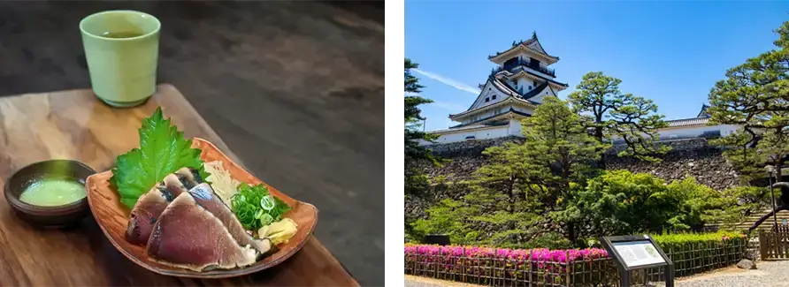 高知県の名所
