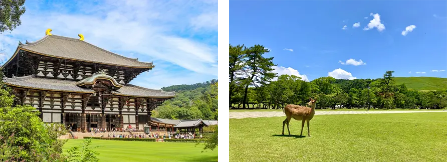 奈良県の名所
