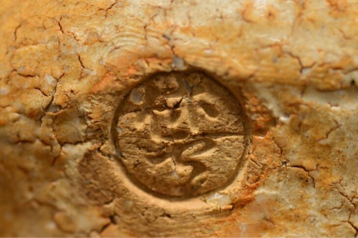 十一代 三輪休雪 作 『萩茶碗』 ｜骨董品買取 緑和堂