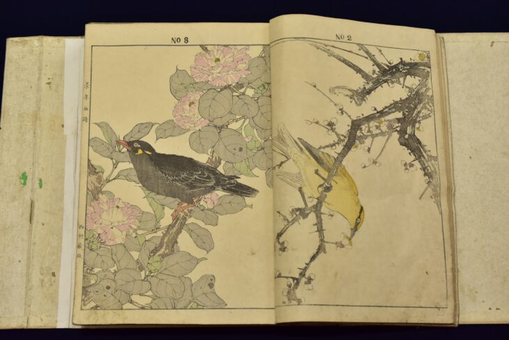 今尾景年 『景年花鳥画譜』 ｜骨董品買取 緑和堂
