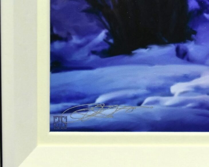 ALMOST SUMMER BY MARTINERE アナと雪の女王 ディズニー