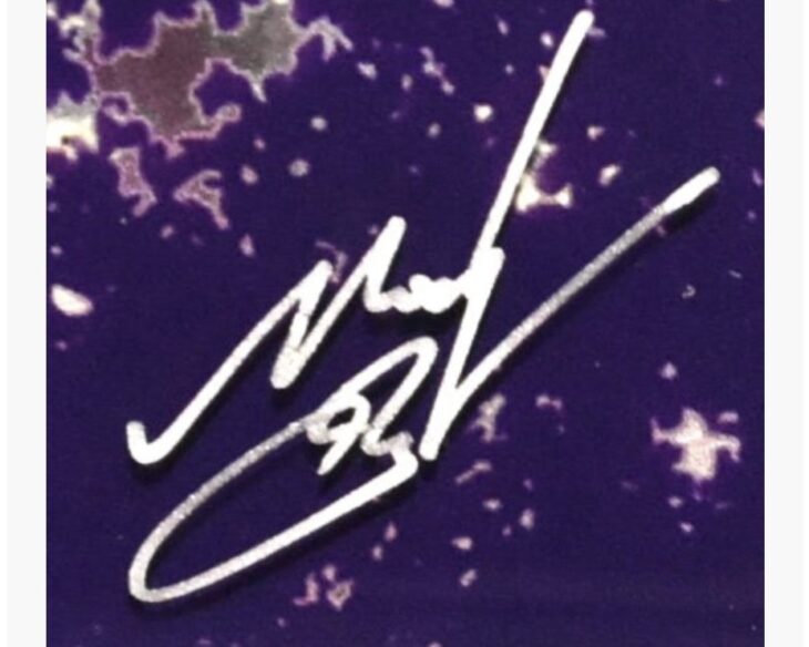 mocha 『星溜り METAL』 ｜骨董品買取 緑和堂