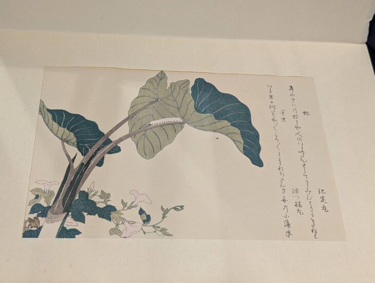 喜多川歌麿 復刻版画 『虫えらみ』 ｜骨董品買取 緑和堂