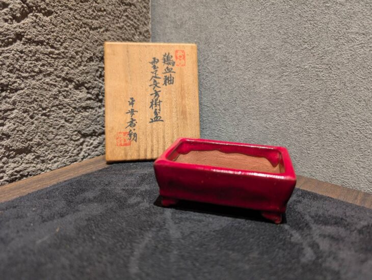 平安香翁 『鶏血釉 雲足長方樹盆』