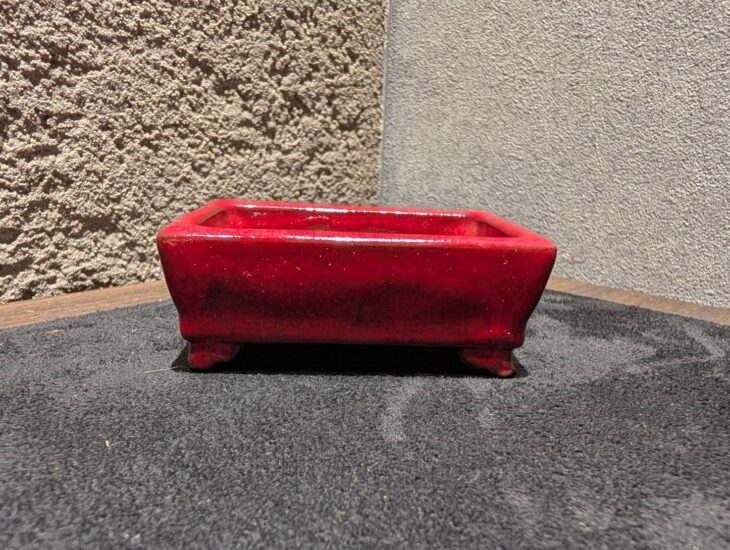 平安香翁 『鶏血釉 雲足長方樹盆』 ｜骨董品買取 緑和堂