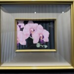 中島千波『胡蝶蘭』