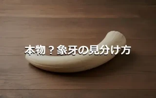 本物?象牙の見分け方