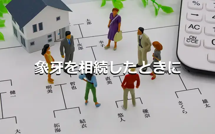 象牙を相続したときに