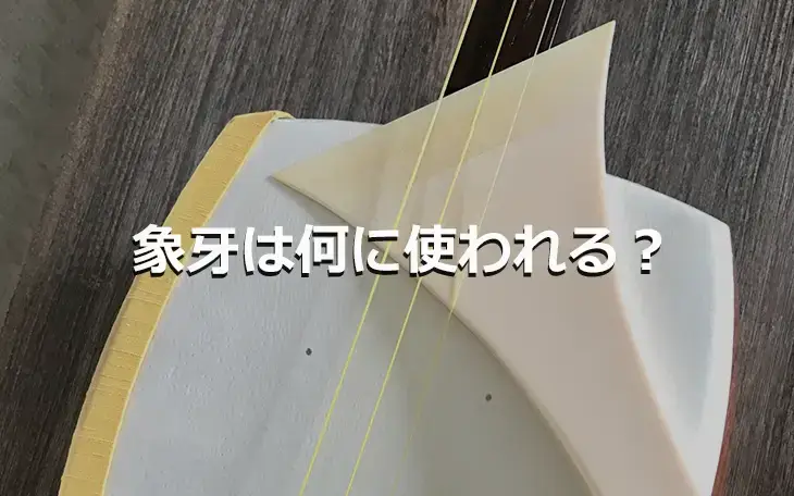 象牙は何に使われる？