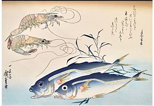 【広重 魚づくし 手摺木版画集】1832〜1842年 復刻版画『歌川広重 魚づくし』 ｜骨董品買取 緑和堂