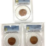 計3枚 昭和37年 10円玉 PCGS スラブ入り