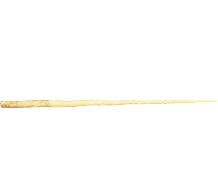 ウニコール(イッカク 牙)