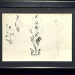 宇野 亜喜良 人物画