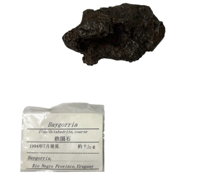 ベイゴリア隕石 438.5g