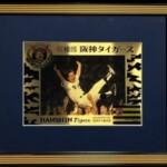 2003年 阪神タイガース優勝記念額