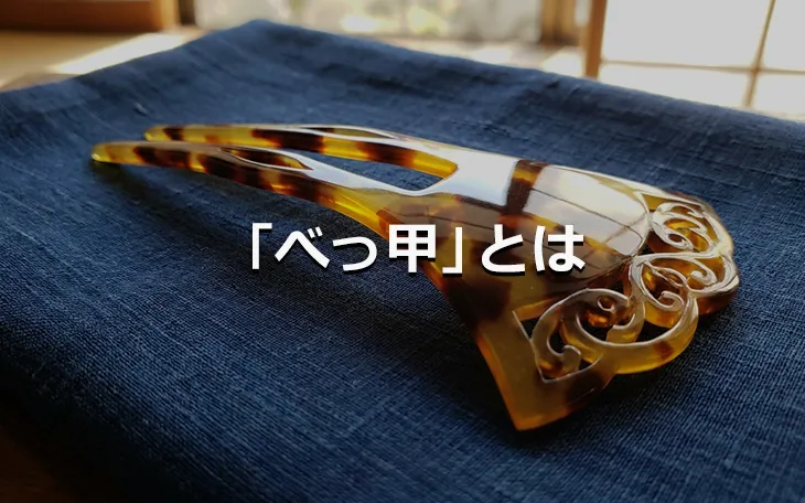 「べっ甲」とは